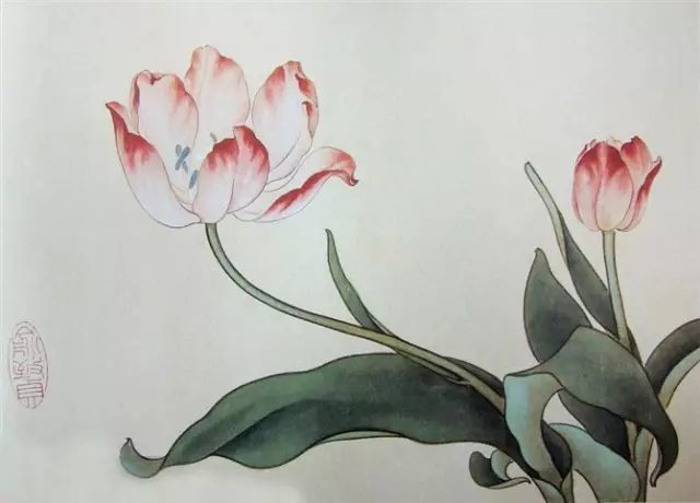 画谱|工笔花卉画谱40幅