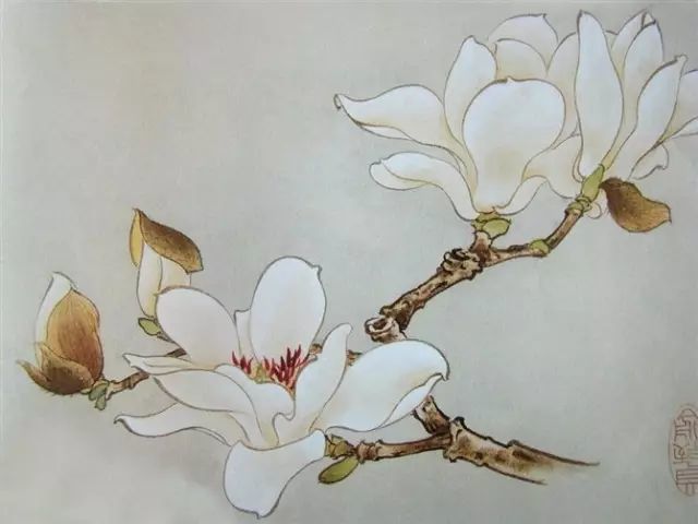 画谱|工笔花卉画谱40幅