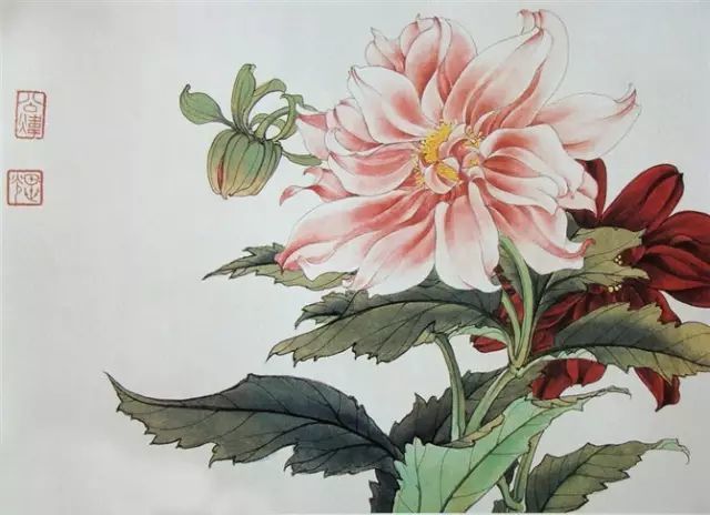 画谱|工笔花卉画谱40幅