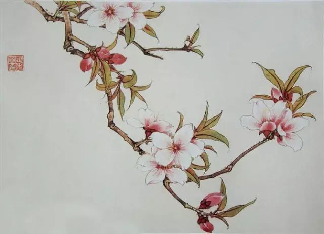 画谱|工笔花卉画谱40幅