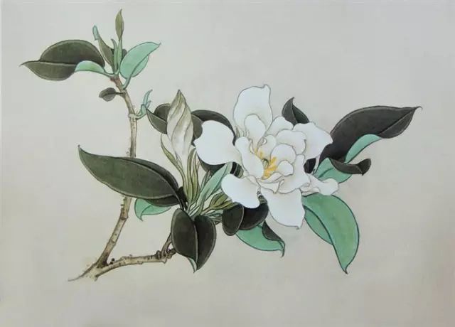 画谱|工笔花卉画谱40幅