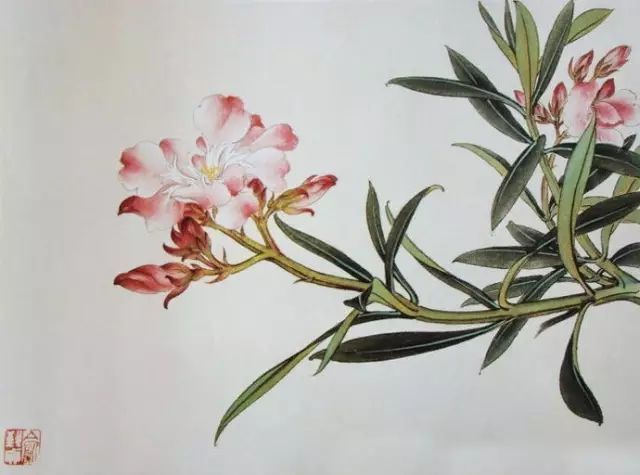 画谱|工笔花卉画谱40幅