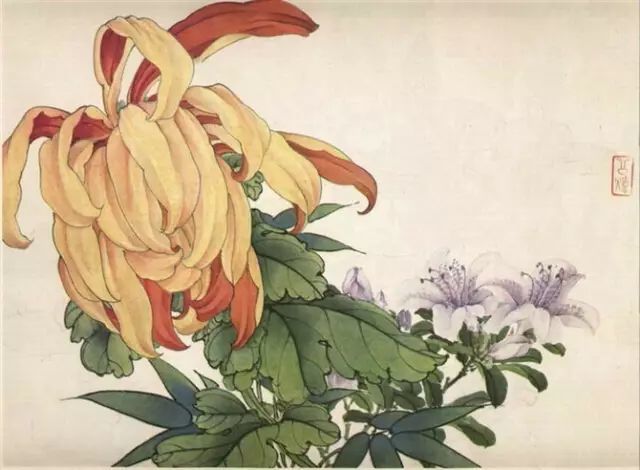 画谱|工笔花卉画谱40幅