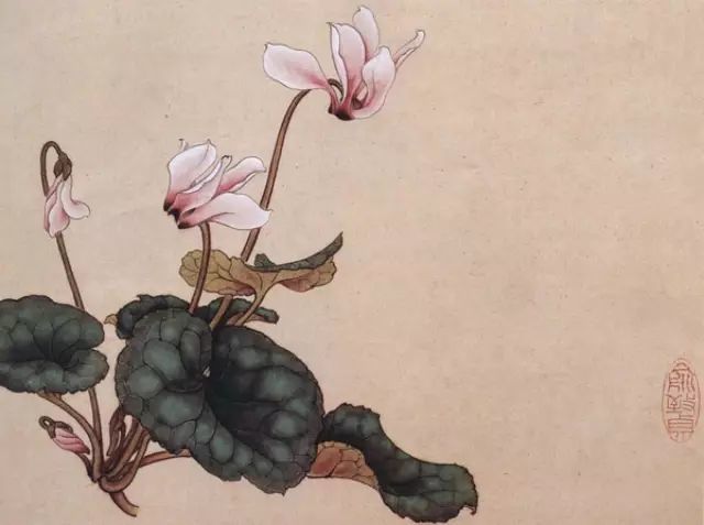画谱|工笔花卉画谱40幅