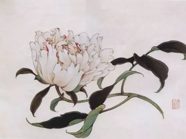 画谱|工笔花卉画谱40幅