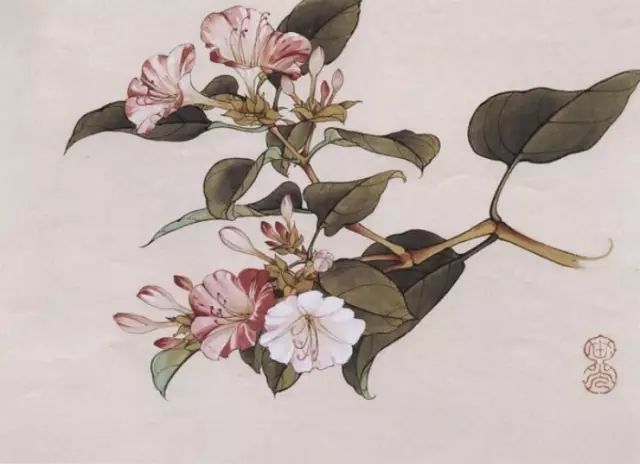 画谱|工笔花卉画谱40幅