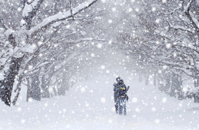 雪中漫步一起白头图片图片