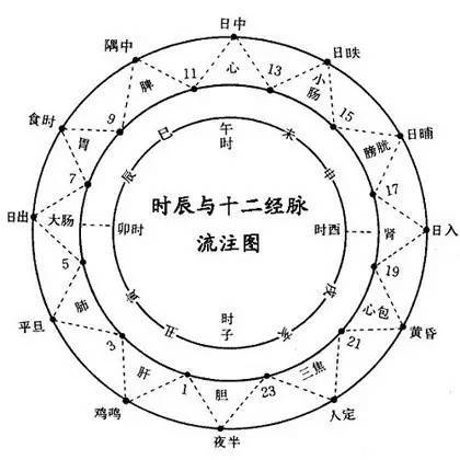 十二时辰对应脏腑图