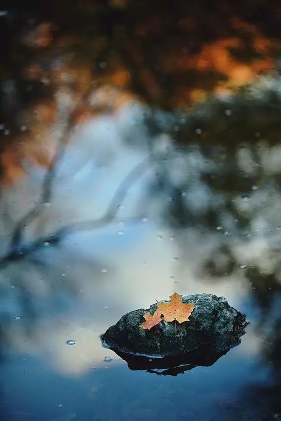 秋已凉,请添衣|秋雨|秋叶|秋天