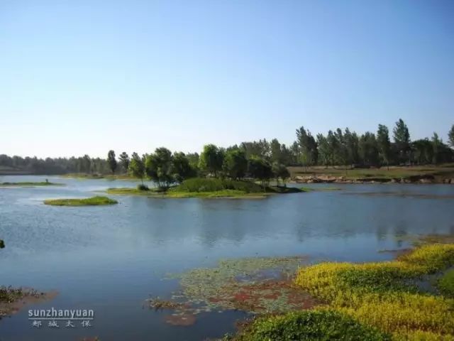 郏县周边要开建5个省级湿地公园北汝河湿地公园