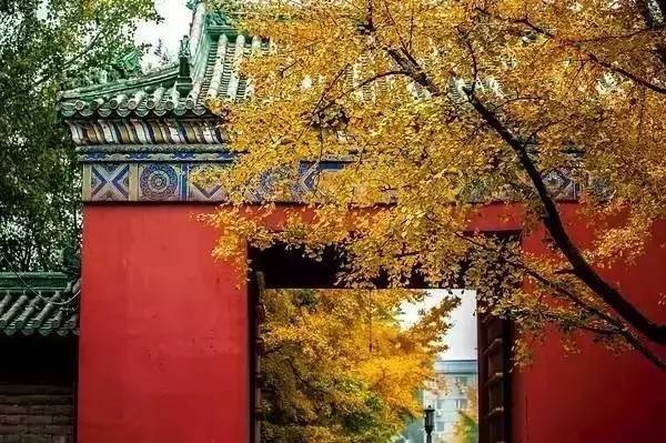 北京|一到秋天，北京就美成了北平