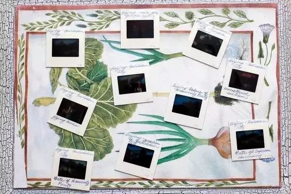 美国_旅游|37年前一对美国夫妻，随手拍的中国旅游照，看哭了所有人……