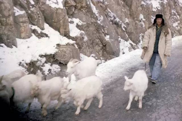 张中国|40年前这对美国夫妇，随手拍了1600张中国旅行照，看着看着泪目了