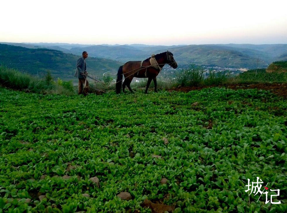 三百六十行:这些职业你可曾见过?
