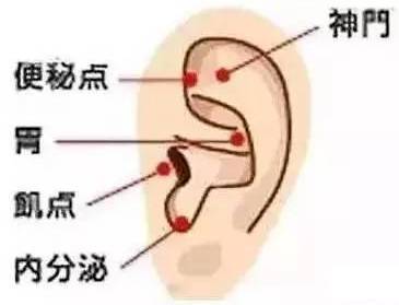 三,饥点1.定位:耳屏外侧面中部与肾上腺连线的中点,也就是耳垂上方.2.