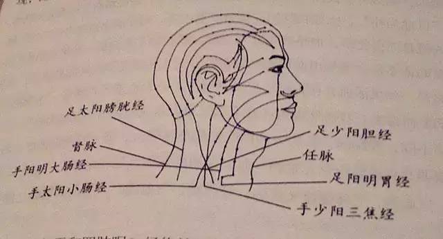 操作方法:以手握空拳,用急速,間歇性手法敲打點壓百會穴,每次5分鐘