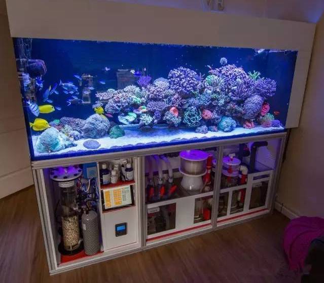 壕就这海缸底滤我真的服了