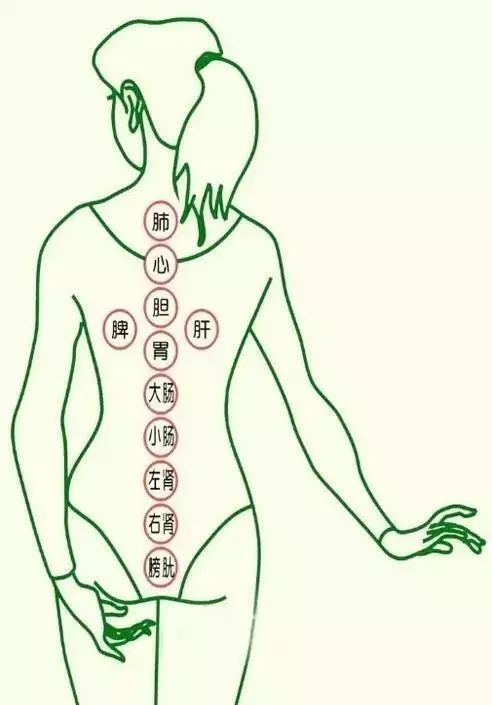 各种罐印的辩证大全!必须收藏!