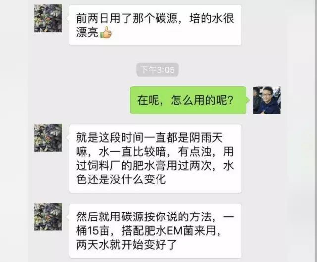 补碳补菌水草壮 低温 阴雨天培水 养殖户两天调好水 腾讯新闻