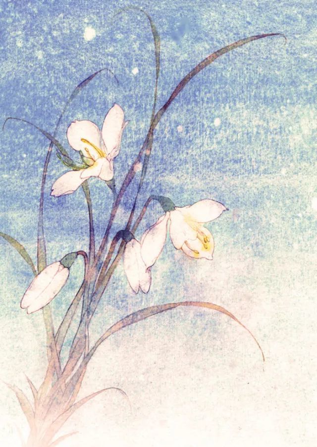 汉鼎说法丨《民法总则》第76条:什么是营利法