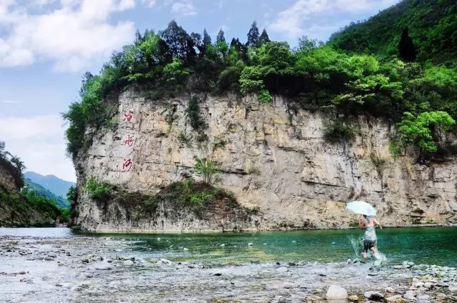 小坝镇莺戈岩村,看银杏叶在树上跳舞~图源:毕节晚报在新庄村石苍山,看