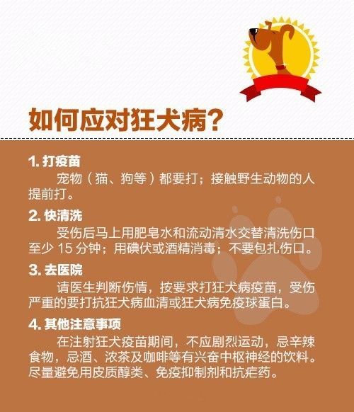 惨不忍睹!重庆梁平紫照镇一幼童被狗咬,撕裂小半边脸!