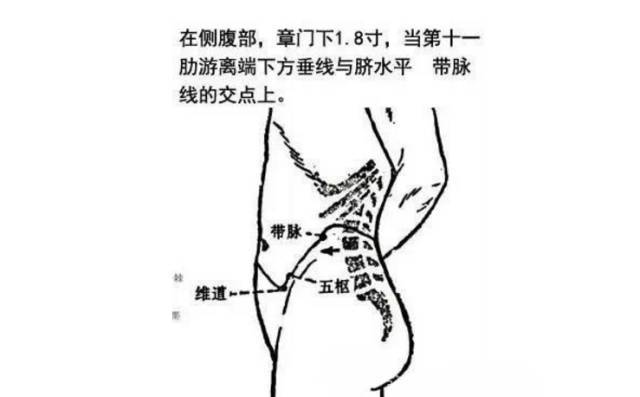 大腿外側膽經有一個天然的標誌,就是人們褲線的循行位置.