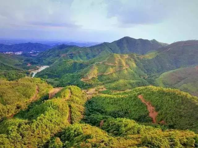 合江六王山森林公园南国名山中火嶂:中火嶂位于广东省化州城西10公里