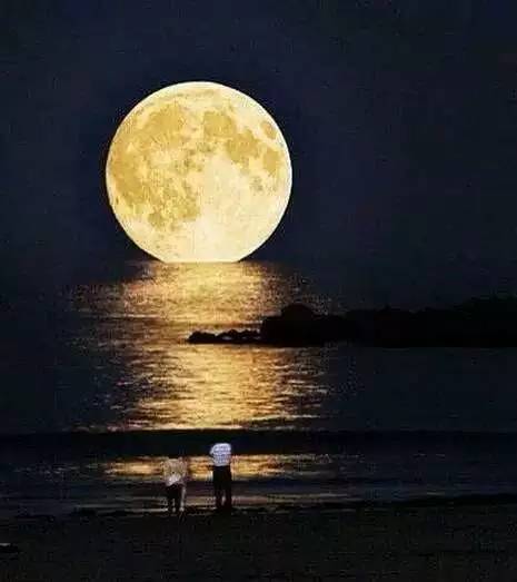 最美中秋节古诗词100首:但愿人长久,千里共婵