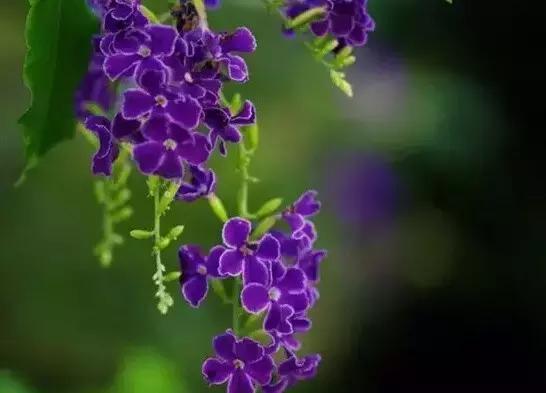 早安心语登上高峰后你会发现还有更多的山