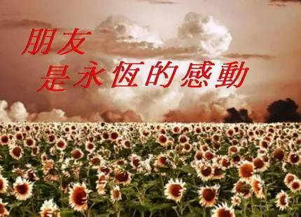 2021年感恩一路帮助过我的所有人