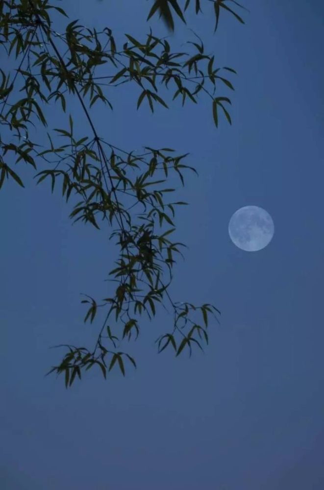 最美中秋节古诗词100首:但愿人长久,千里共婵