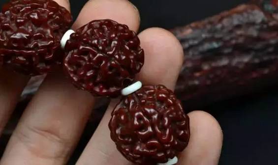 金刚菩提要盘漂亮竟然这么简单