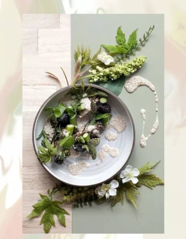 分享|西式烹饪摆盘的几大类花饰