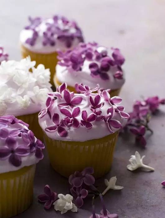 分享|西式烹饪摆盘的几大类花饰