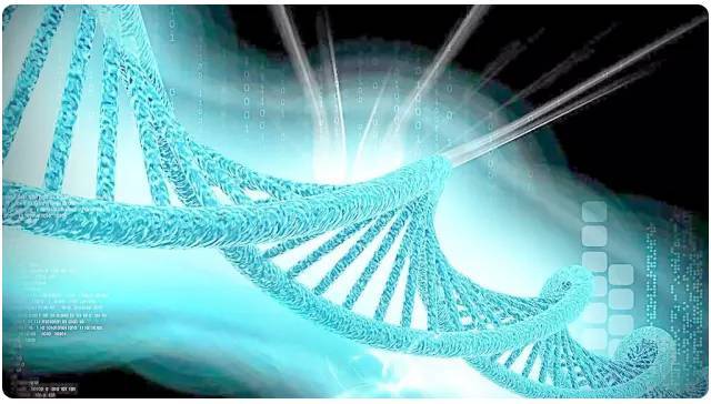 量子医学|量子医学诞生了！人类或迎来没有疾病的世界