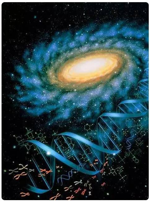 量子医学|量子医学诞生了！人类或迎来没有疾病的世界