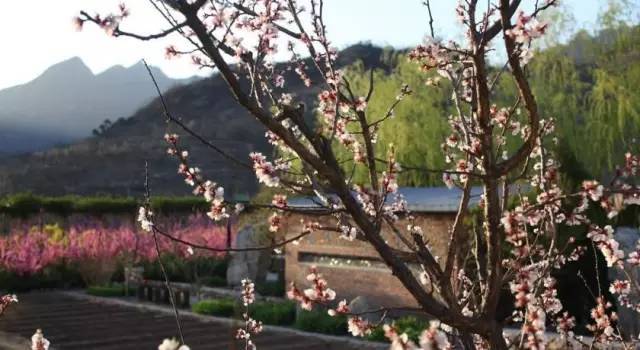 萨洋|老外辞职500强，10年爆改中国山沟30栋老宅，造福一整个村庄！