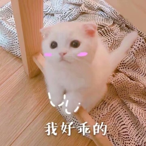 笑话五条:要上洗手间的麻利点,提前做好准备!