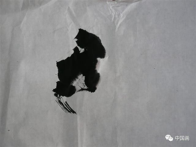 国画|国画基础教程：教你怎样画孔雀，很齐全的一篇步骤教学