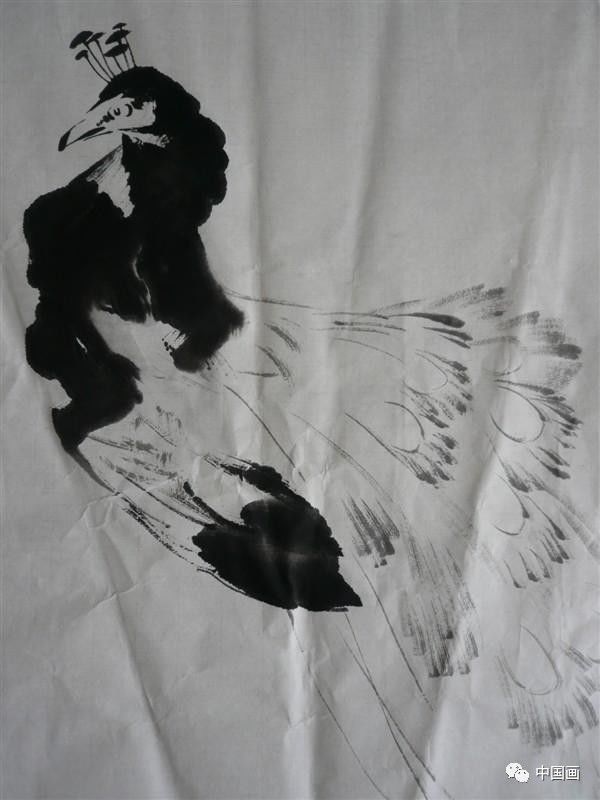 国画|国画基础教程：教你怎样画孔雀，很齐全的一篇步骤教学