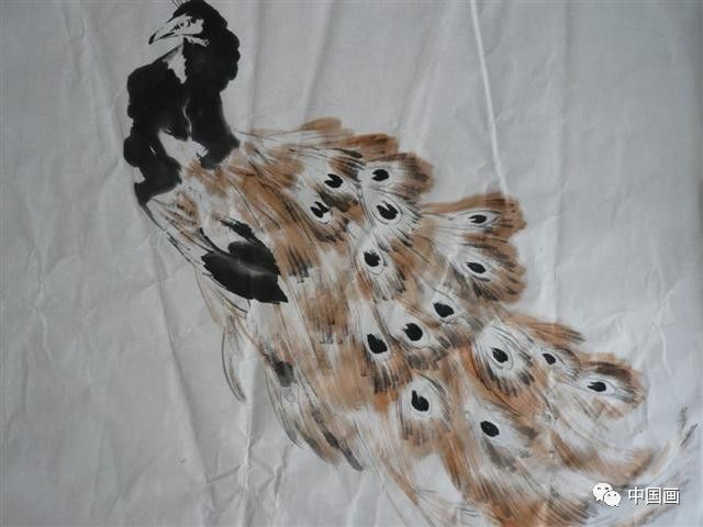 国画|国画基础教程：教你怎样画孔雀，很齐全的一篇步骤教学