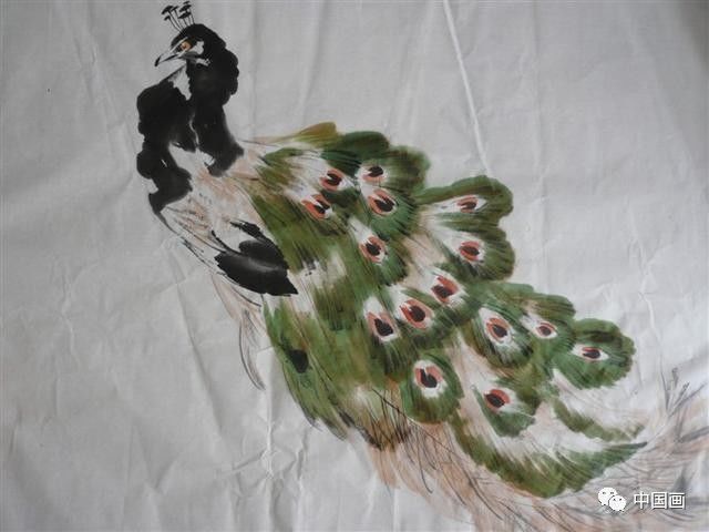 国画|国画基础教程：教你怎样画孔雀，很齐全的一篇步骤教学
