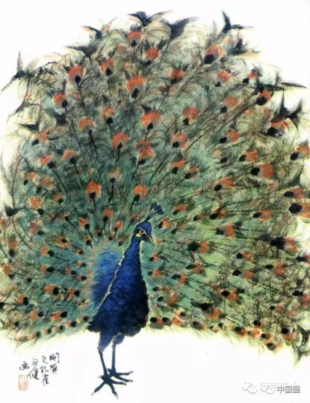 国画|国画基础教程：教你怎样画孔雀，很齐全的一篇步骤教学