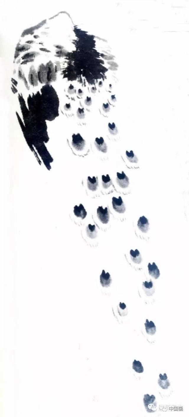 国画|国画基础教程：教你怎样画孔雀，很齐全的一篇步骤教学