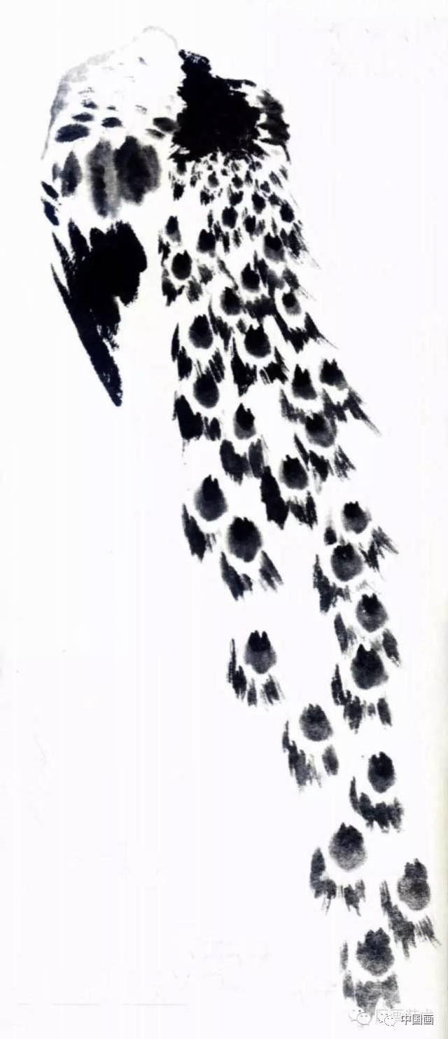 国画|国画基础教程：教你怎样画孔雀，很齐全的一篇步骤教学