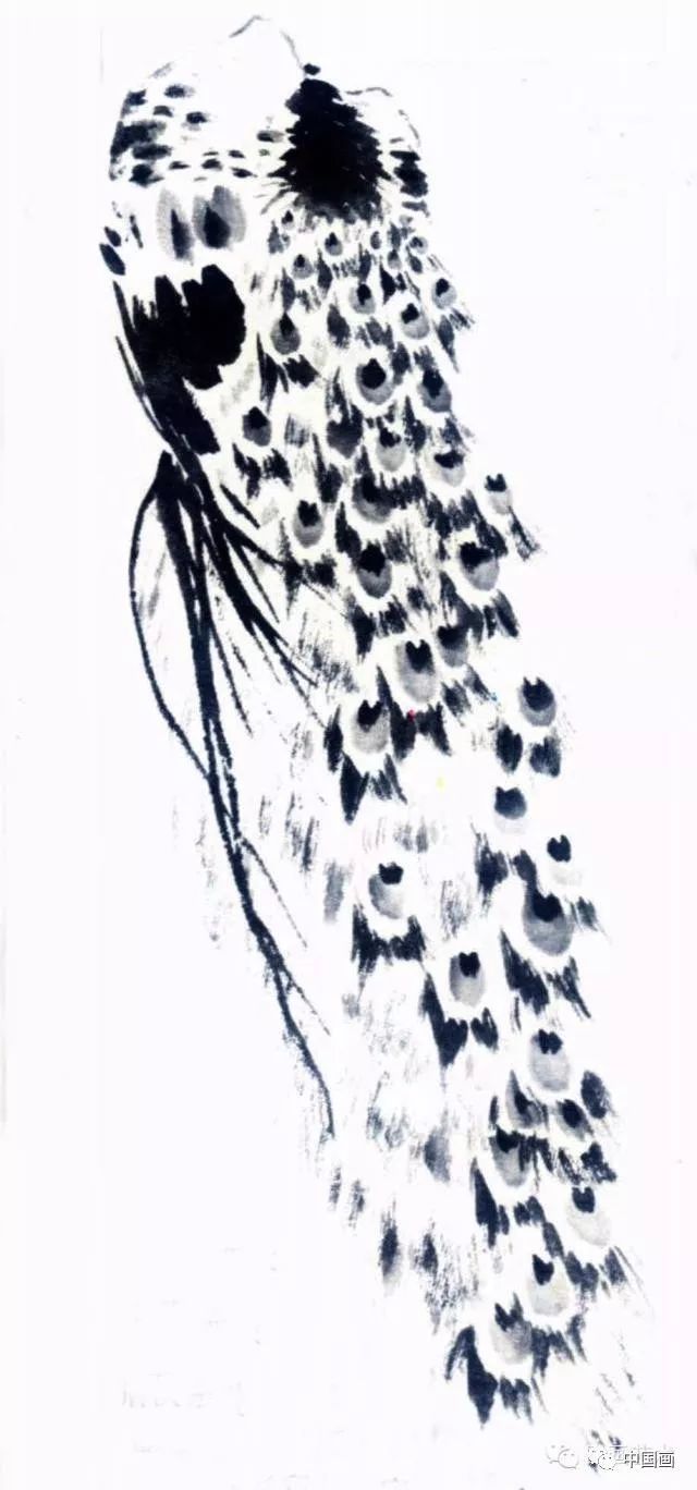 国画|国画基础教程：教你怎样画孔雀，很齐全的一篇步骤教学