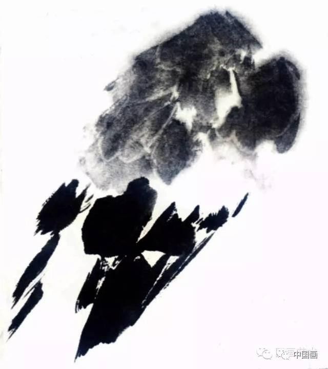 国画|国画基础教程：教你怎样画孔雀，很齐全的一篇步骤教学