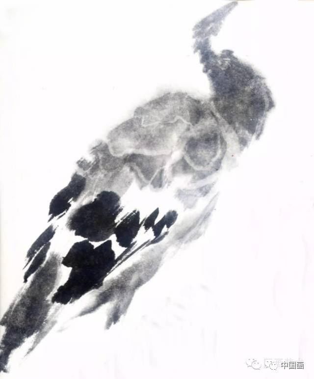 国画|国画基础教程：教你怎样画孔雀，很齐全的一篇步骤教学