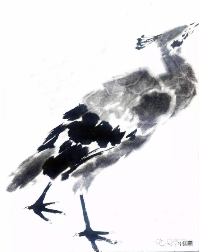 国画|国画基础教程：教你怎样画孔雀，很齐全的一篇步骤教学